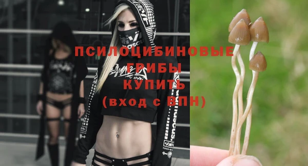 прущий лед Армянск
