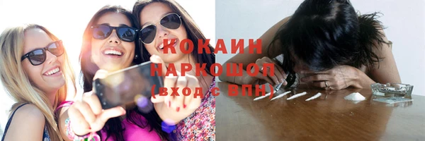 ГАЛЛЮЦИНОГЕННЫЕ ГРИБЫ Аркадак