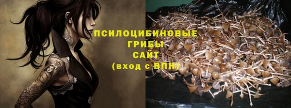 соль курить ск Арсеньев