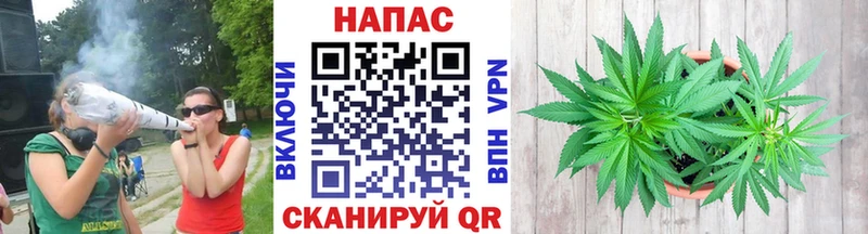 Бошки Шишки индика  купить  цена  Саянск 